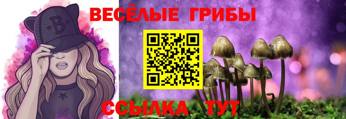 Галлюциногенные грибы Cubensis  Псилоцибиновые грибы прущие грибы  Вход с VPN  купить  цена  Барабинск 